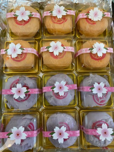 PHOTO-2023-05-26-10-15-33